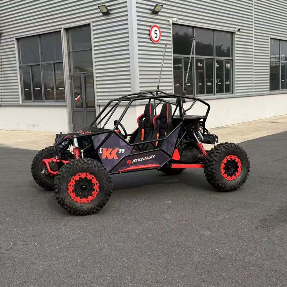 Family Use Cross Pedal Go Kart - Outdoor Power And Pedal review and price