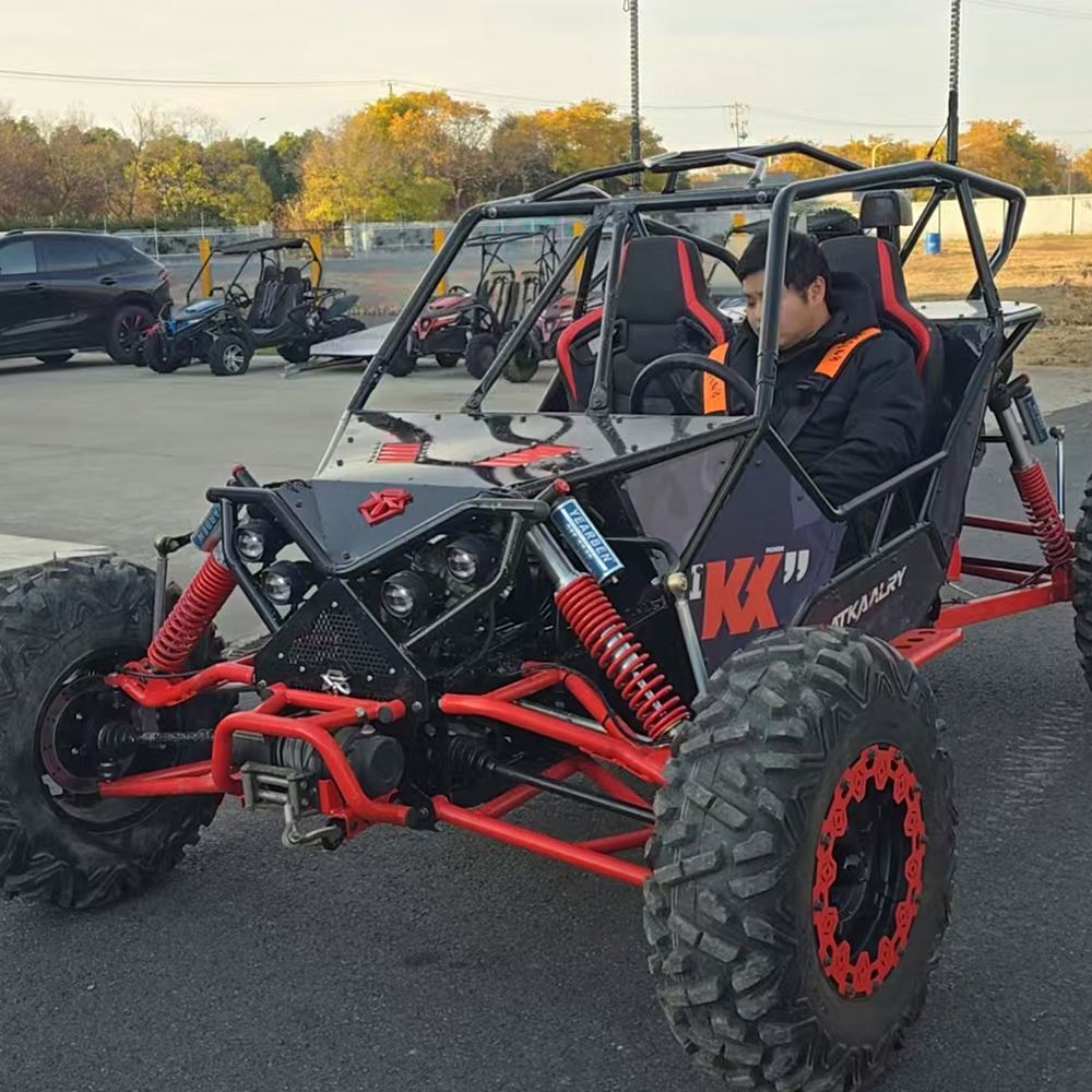 Family Use Cross Pedal Go Kart - Outdoor Power And Pedal review and price