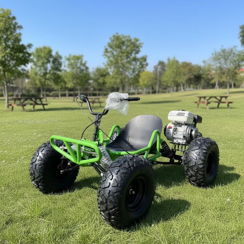 212CC 4 Stroke Pedal Go Kart I - Outdoor Power And Pedal review and price