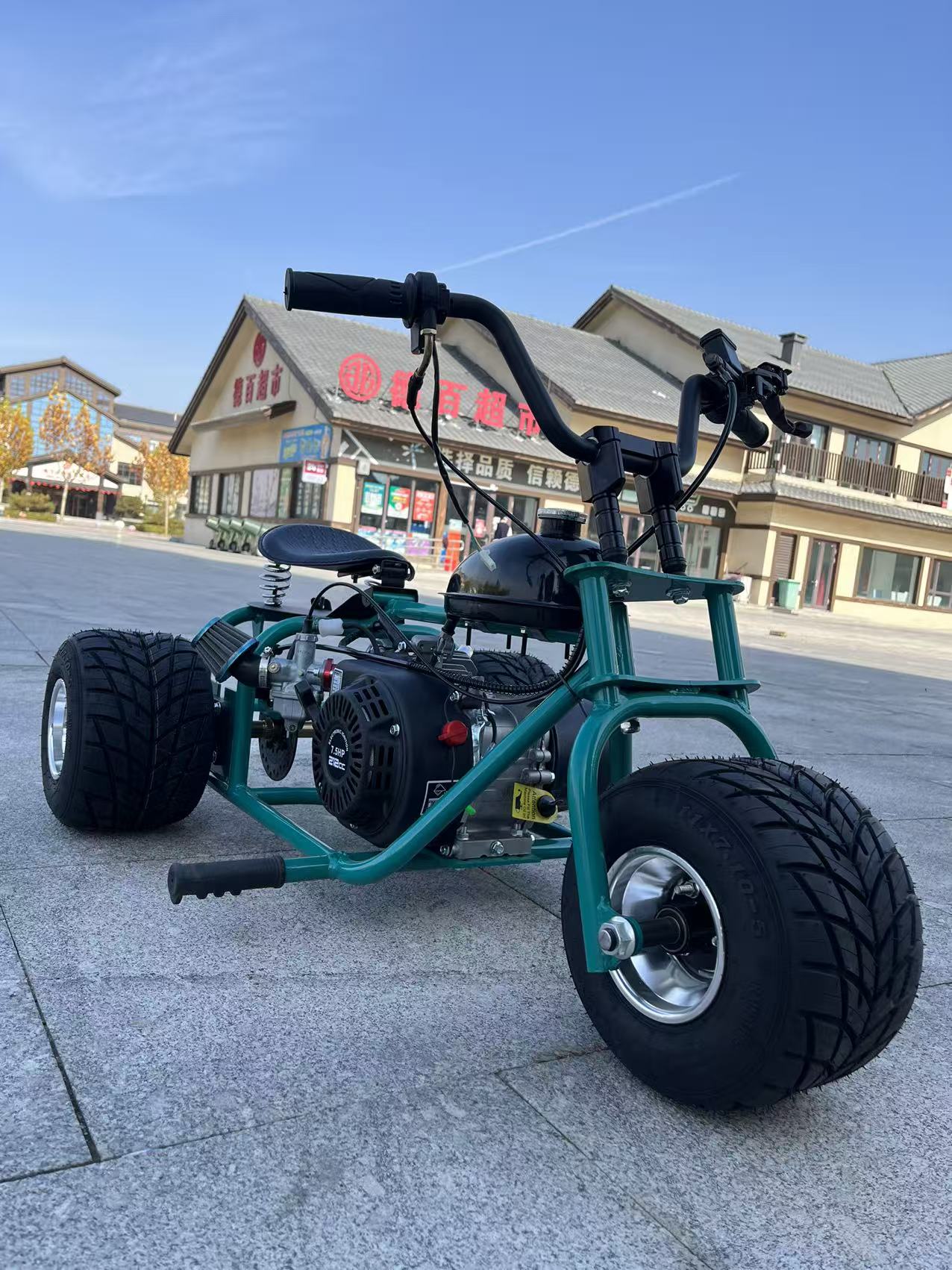 OEM/ODM New 212cc 4-Stroke Inf - Outdoor Power And Pedal review and price